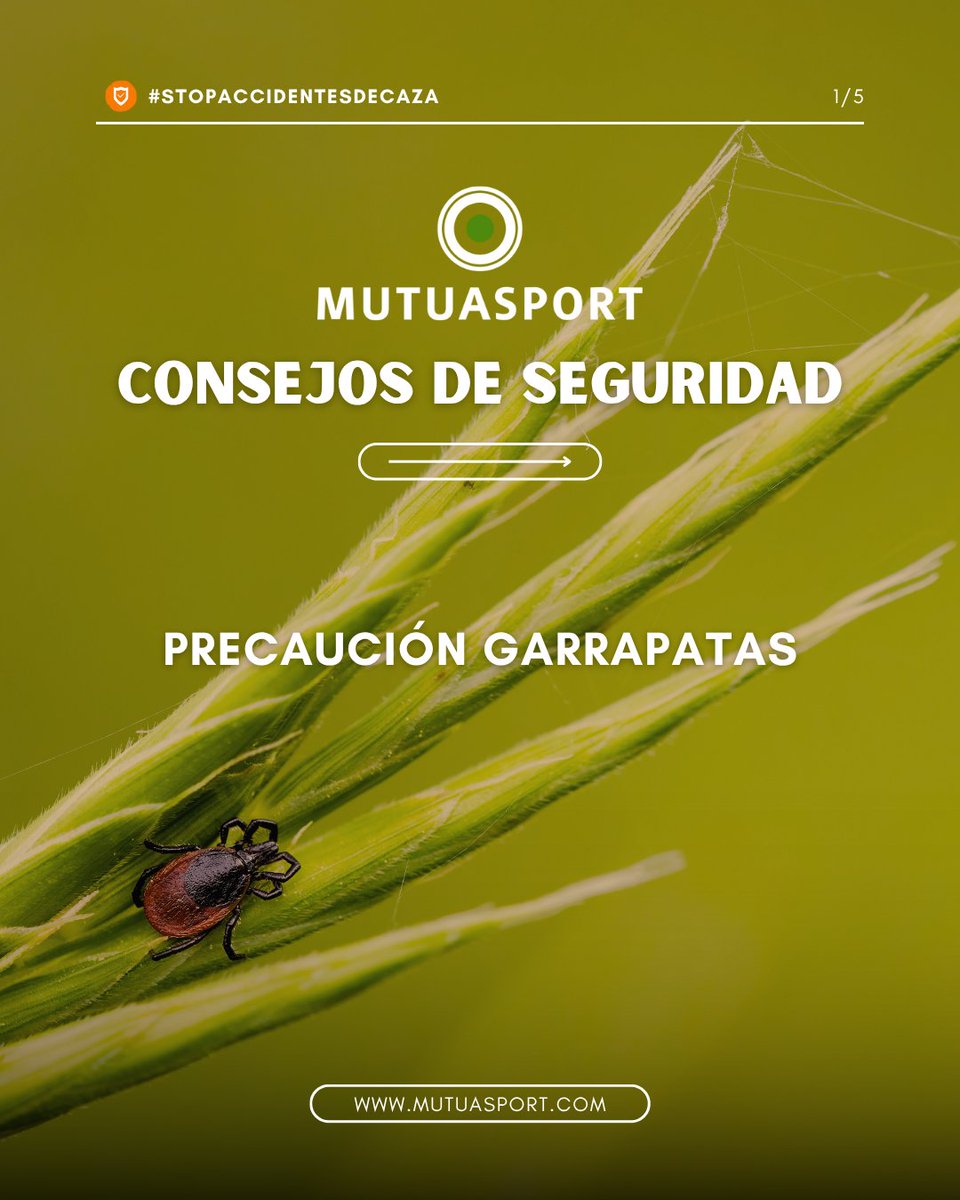 MUTUASPORT tweet media