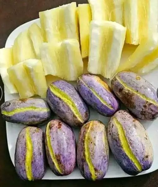 AccdPage's tweet image. #SECAL #Project, South West of #Cameroon. Project aimed at empowering #farmers and improving #food security via #financing, distribution of #equipment, capacity building etc. Video courtesy of @ivoarrey at @AccdPage. Contact arreymbongayaivo@gmail.com
youtu.be/7H06ur_6Pzo?si…