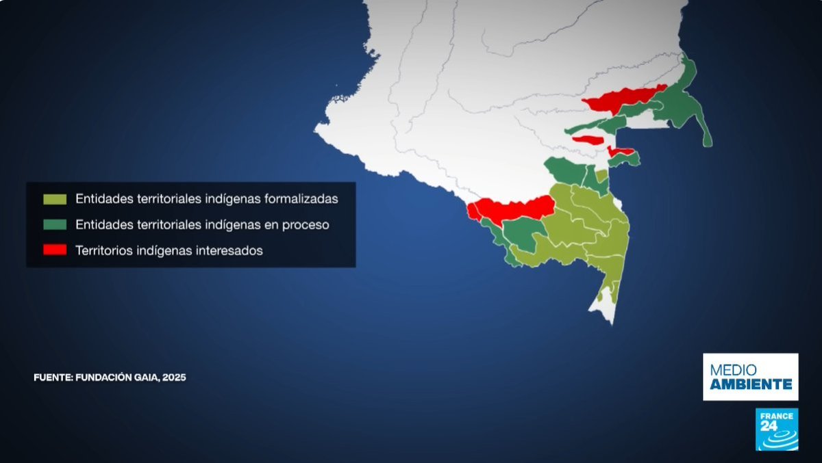 🐝💗🌻🍉 Andrea 🍉🌻💗🐝 tweet media