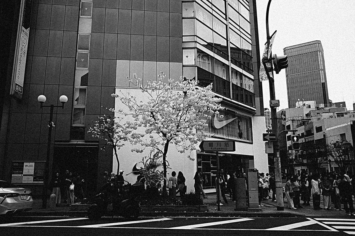 wao_camera's tweet image. 三宮と元町

GRⅣ monochrome
#GR4monochrome #SnapShot 
#monochrome 
#streetsnap