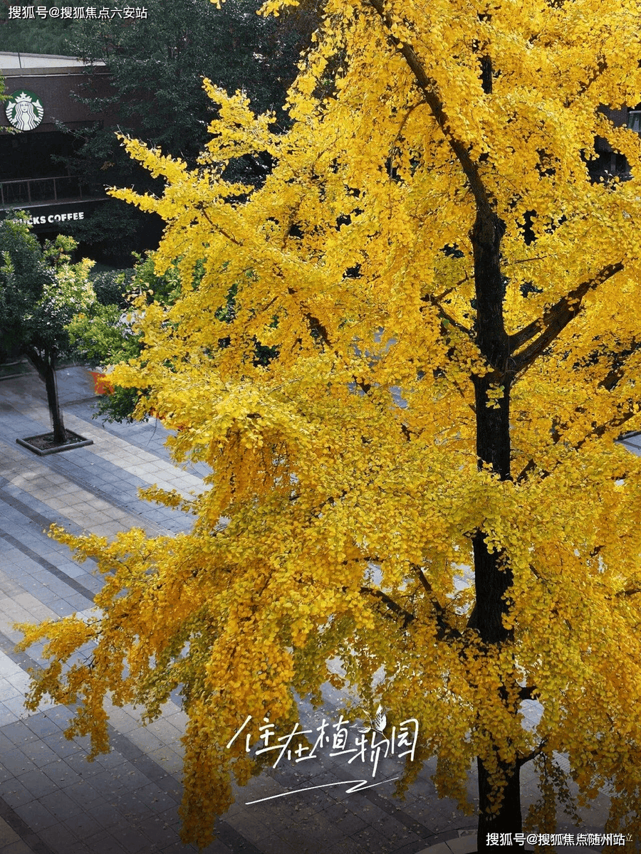 Derin Gvncl tweet media