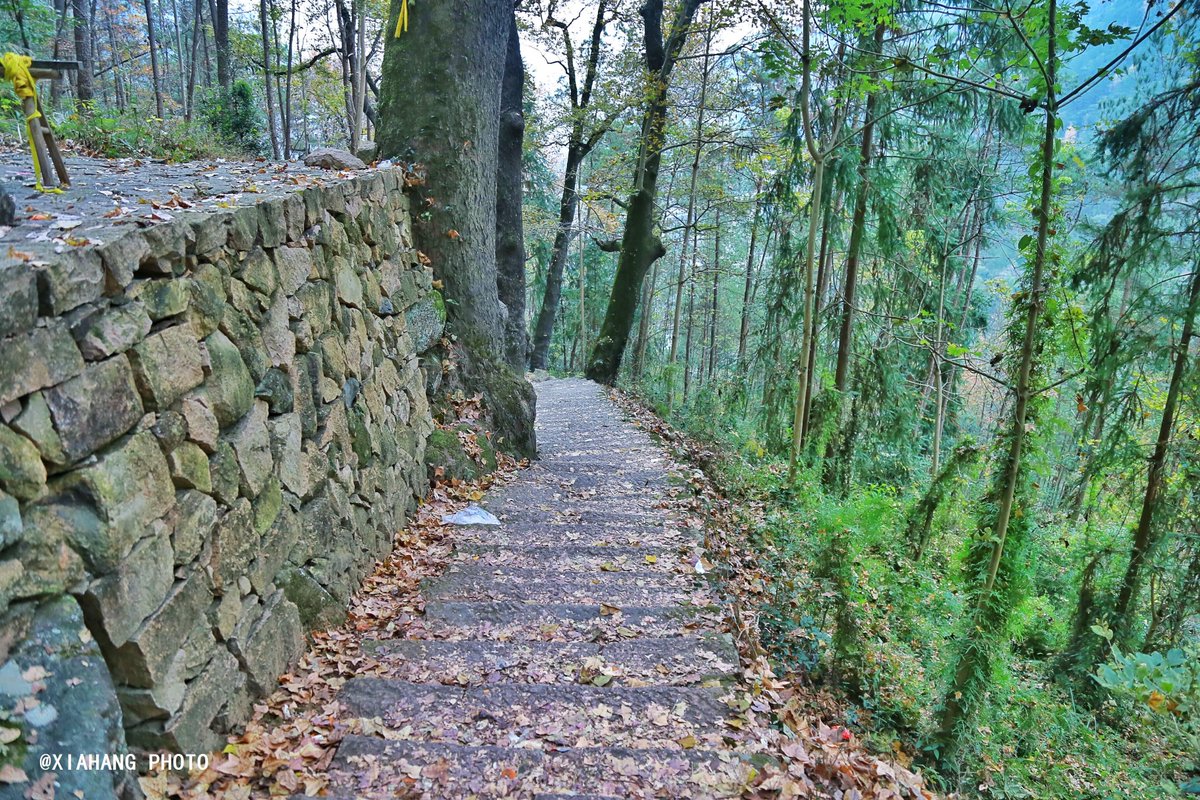 michael maire tweet media