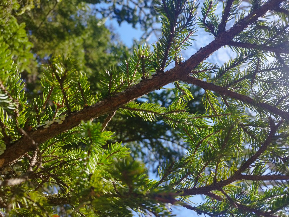 しん太 tweet media