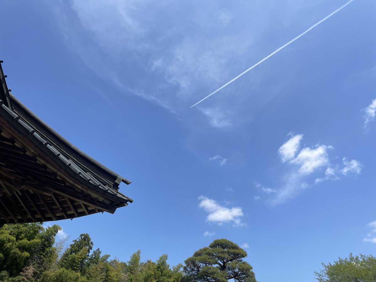 かぐたば tweet media