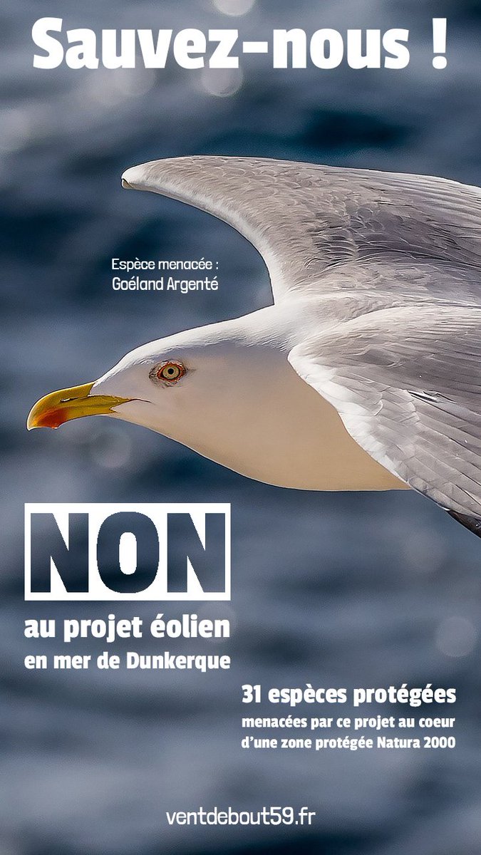 Vent DEBOUT tweet media