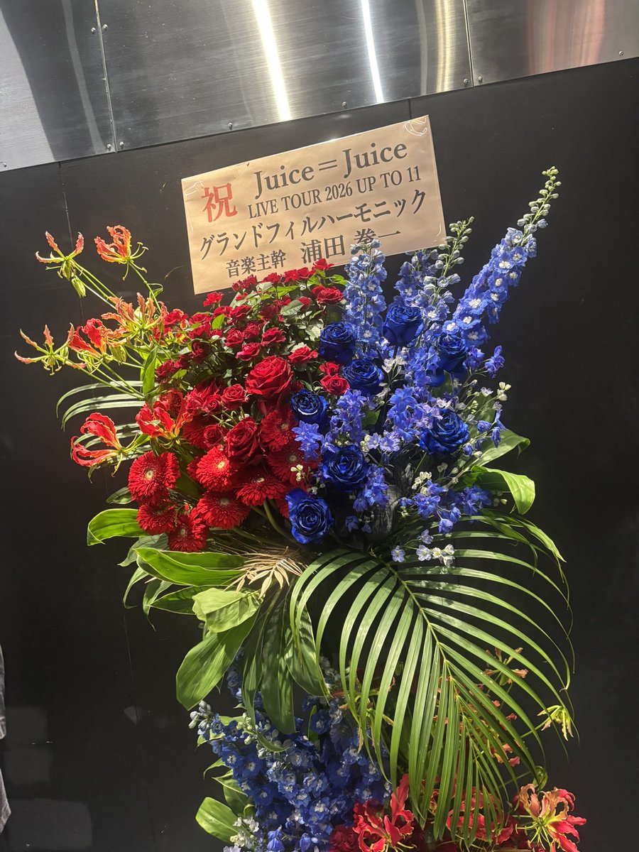 ozora_wataru's tweet photo. Juice=Juice福岡2回目
なんか花来てた
#JJ_UPTO11
#juicejuice #helloprojec https://t.co/wv1QnY7e6r