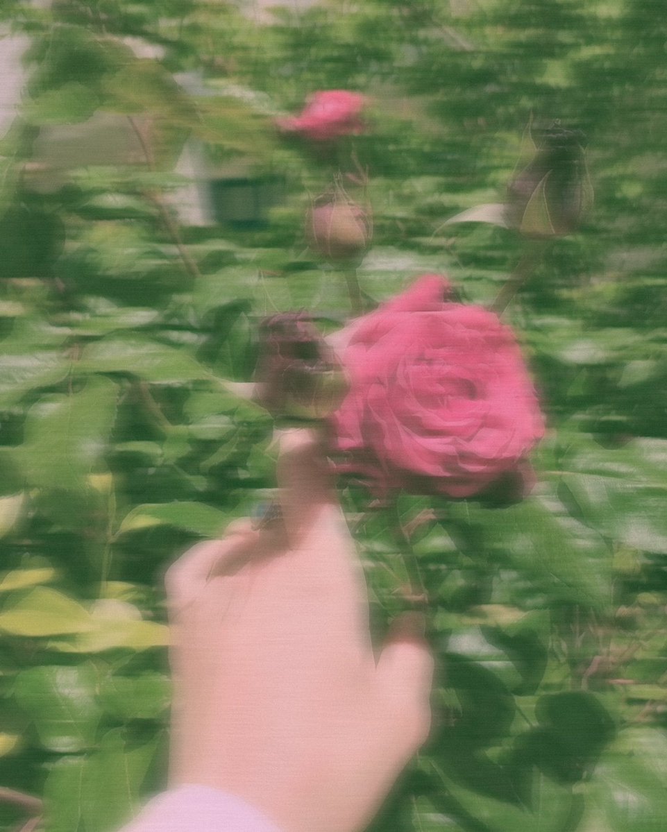 জি جي tweet media