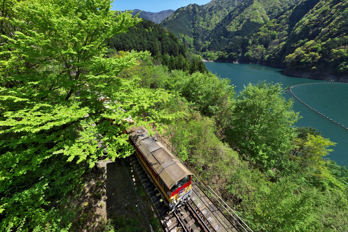 川猫山駅長 tweet media