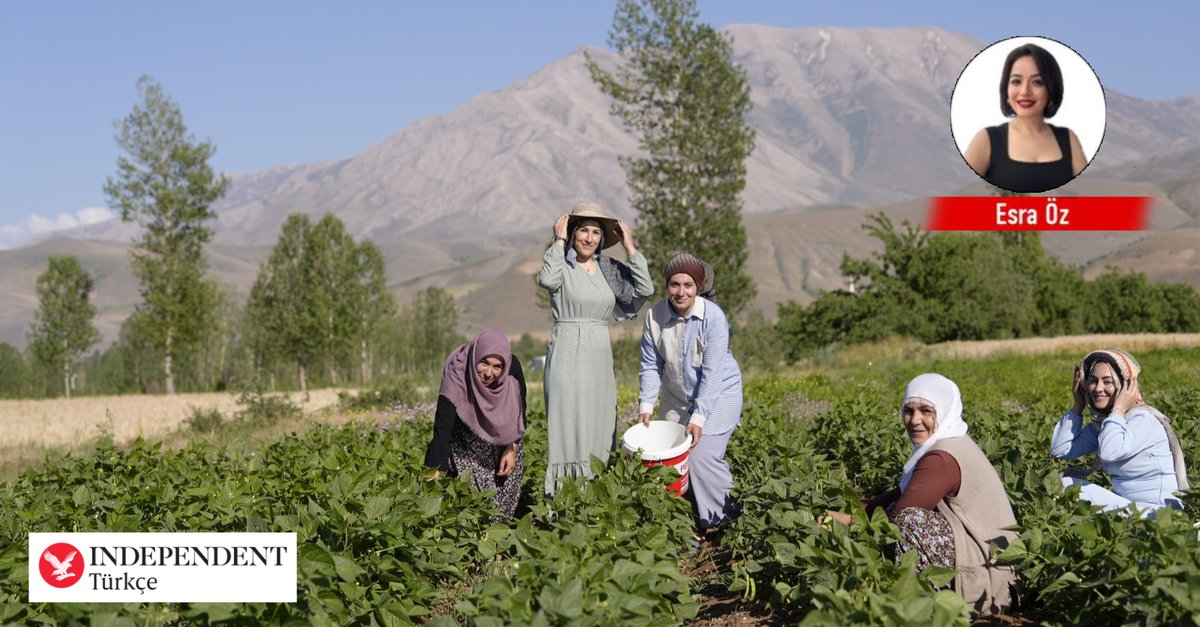 İklim krizi kapıda değil, sofrada

🗣️ FAO Türkiye Temsilcisi Nabil Gangi:

🍽️ “İklim krizi soframızı vuruyor, bazı gıdalar lüks olabilir”
💧 “Türkiye su kıtlığı eşiğine hızla yaklaşıyor”
📈 “Bazı gıdalar lüks hale gelebilir”
🌾 “Gençler tarımdan uzaklaşıyor, üretim riske giriyor”