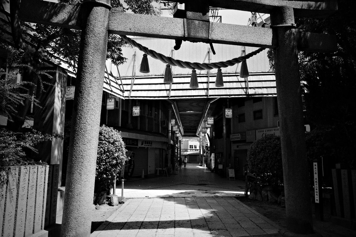 wao_camera's tweet image. 商店街を抜けると神社

GRⅣ monochrome
#GR4monochrome #SnapShot 
#monochrome 
#streetsnap