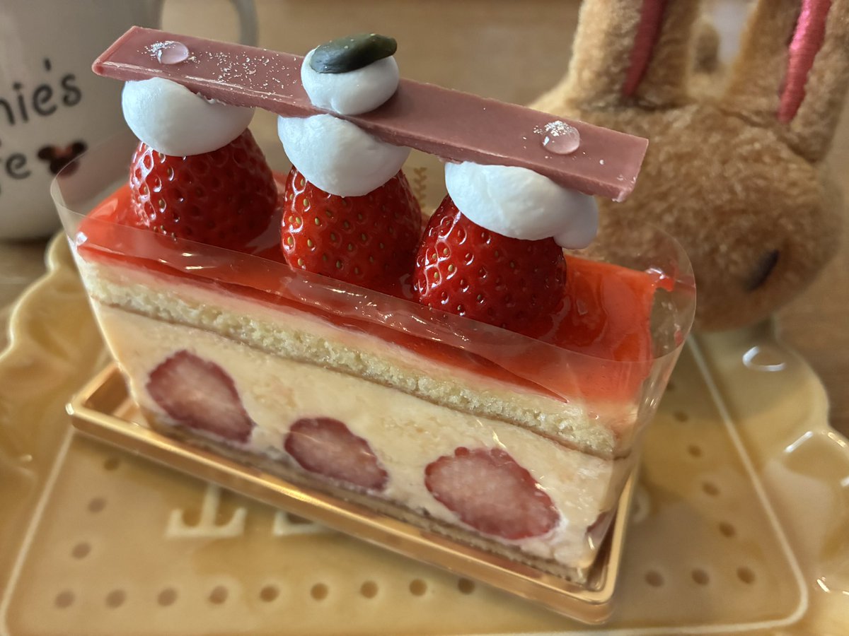 野上ぁゃか tweet media