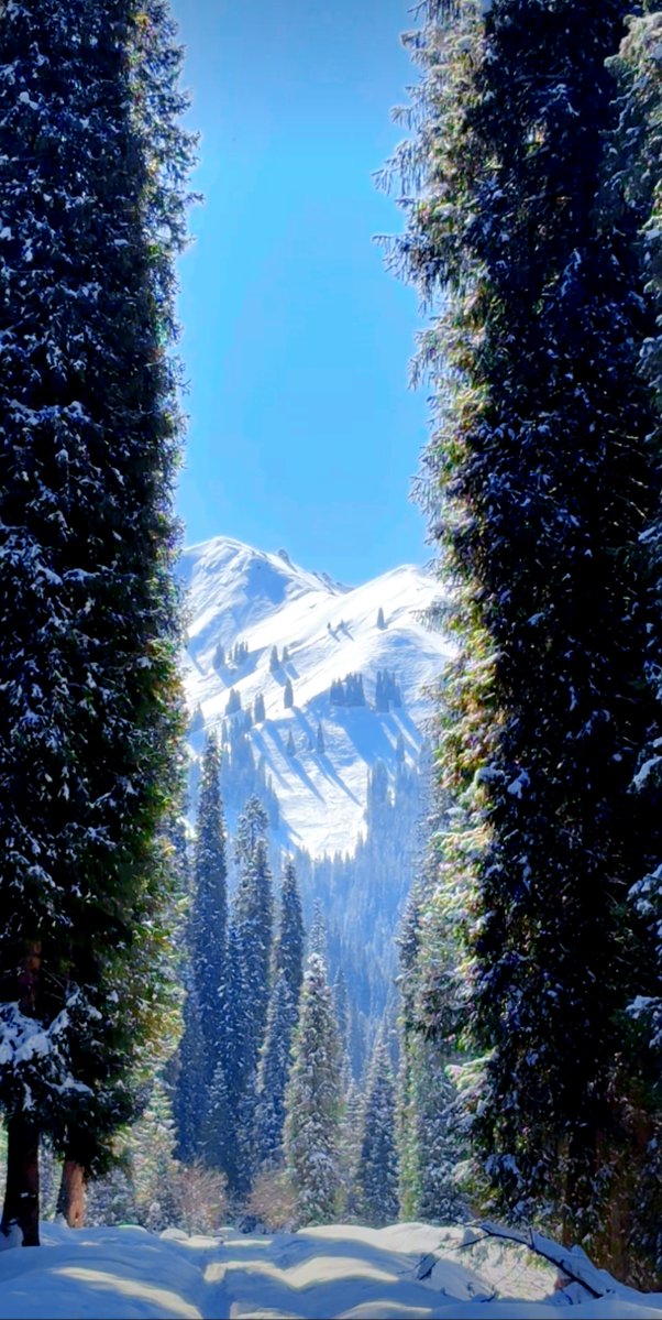 Jason M. Pellegrin tweet media