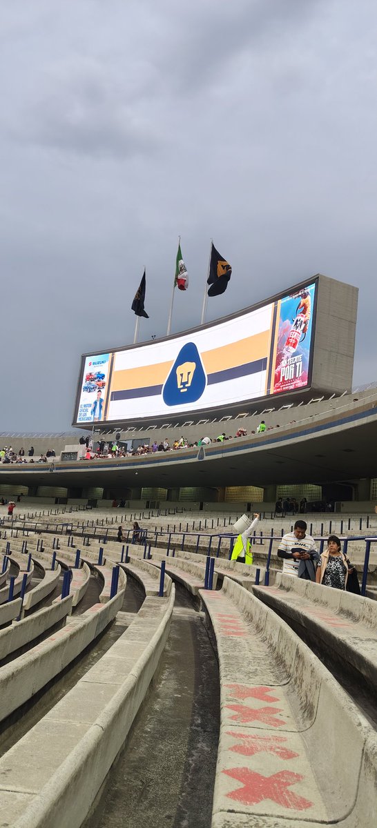 ClubdePatosfc's tweet photo. Goya !!! @ClubdePatosfc  @PumasMX  🙋🏻✊🏻🐱🦆⚽ https://t.co/07YCCWQoWH
