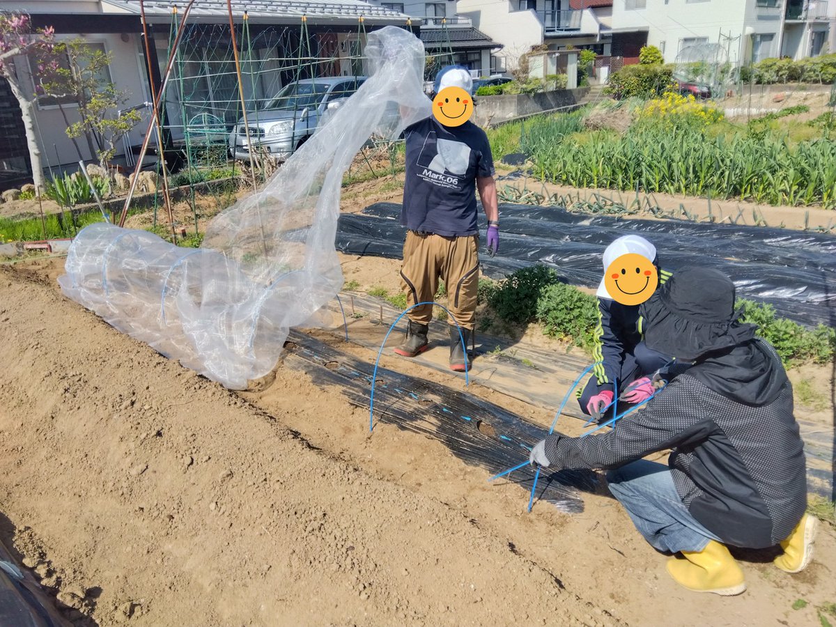 npocd's tweet photo. 🌱キャリア・ファーム・ラボ（CFL）② 
市民菜園で余暇活動として、農的活動を実施。今回は、ジャガイモ芽出し・枝豆種まきを実施📷防虫ネット設置まで完了しました。
 📷#農的活動 #農作業 #福島 #郡山 #居場所 #出番　#農福連携 https://t.co/obKNcHP94v