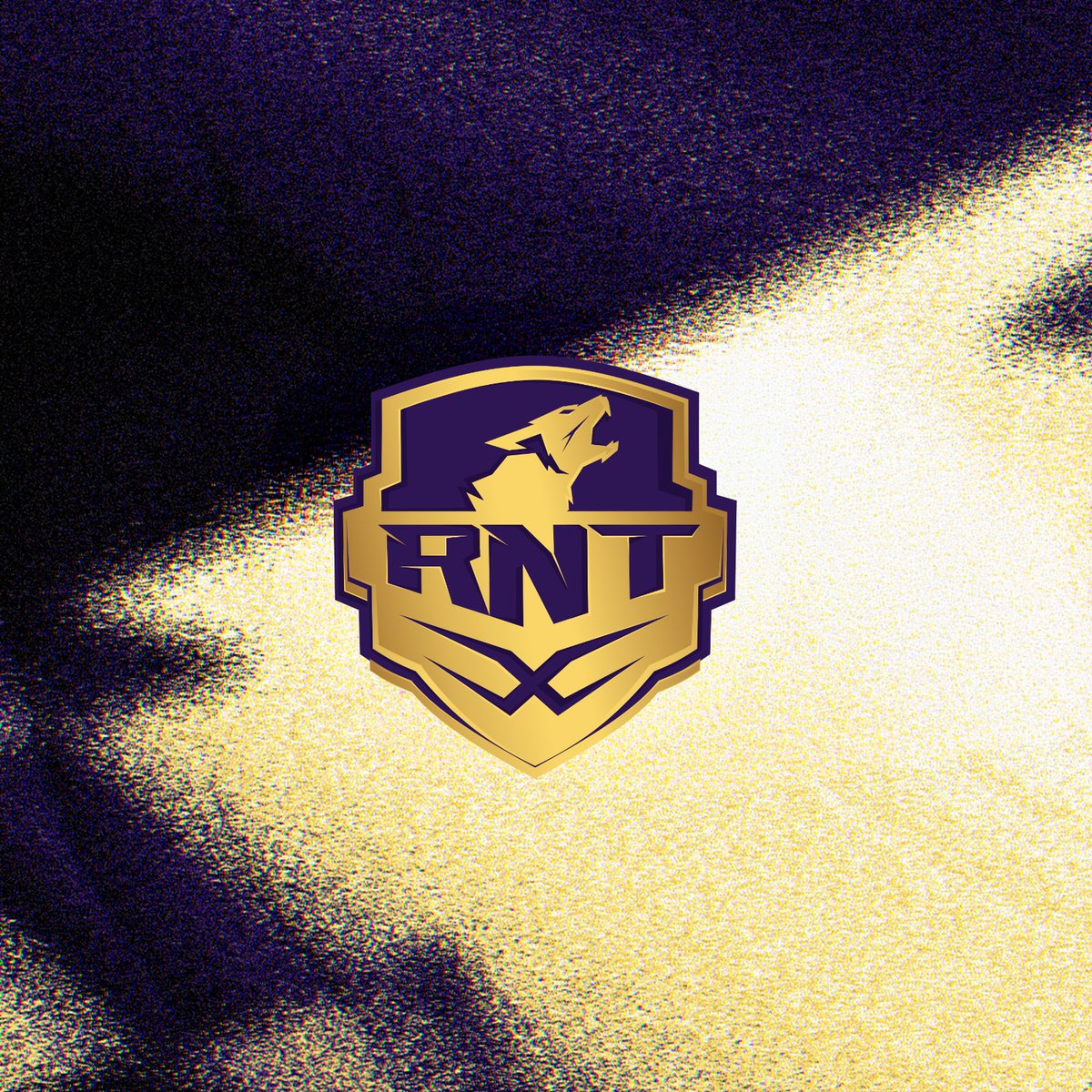 Revenant Esports tweet media
