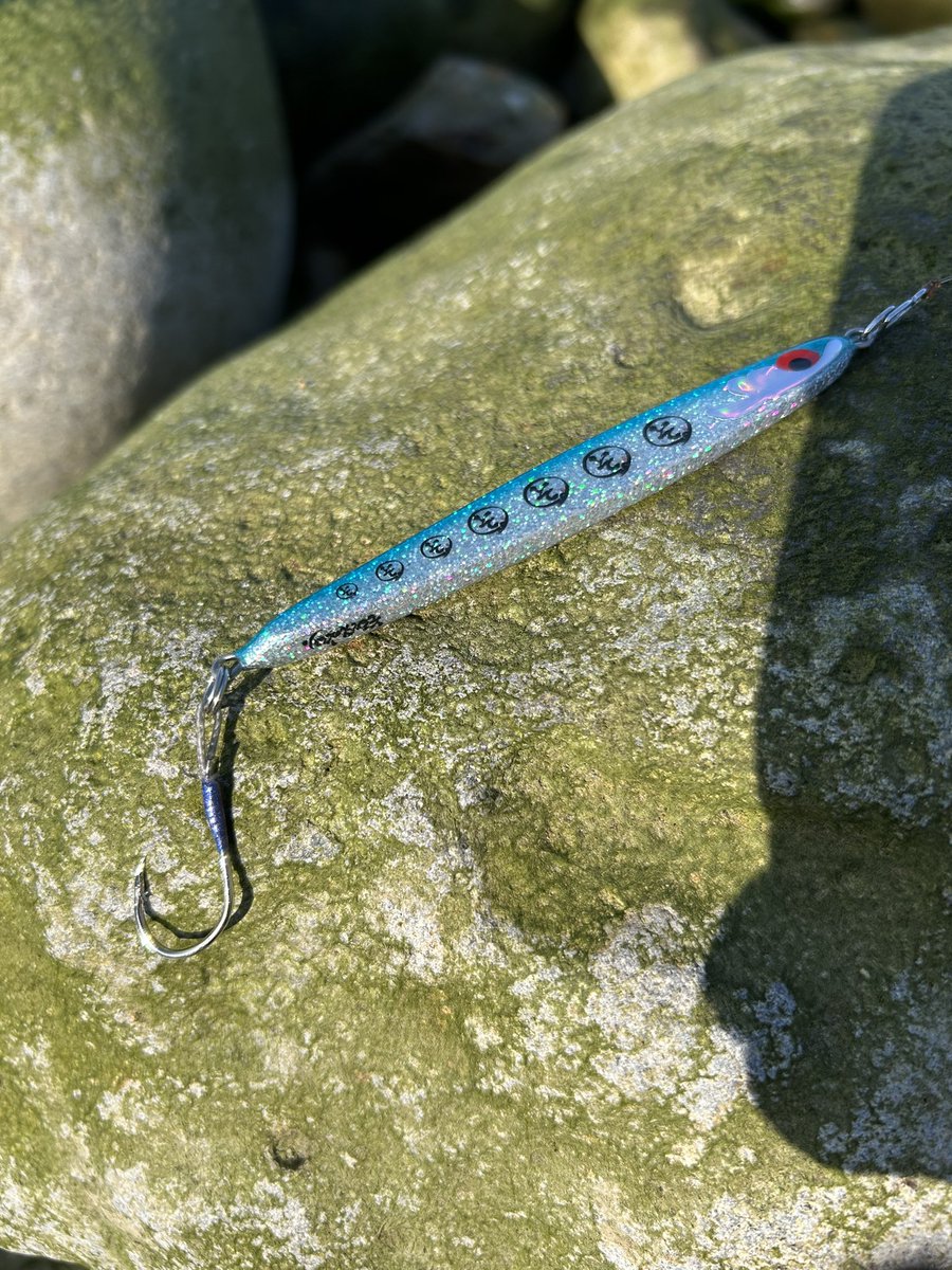 ハロ🤌 tweet media