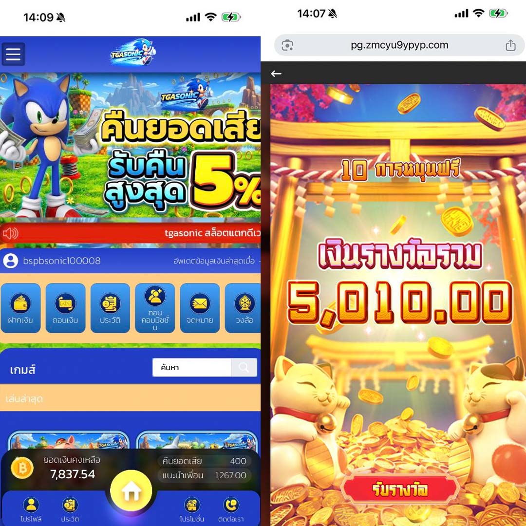 นักเลงสล็อต tweet media