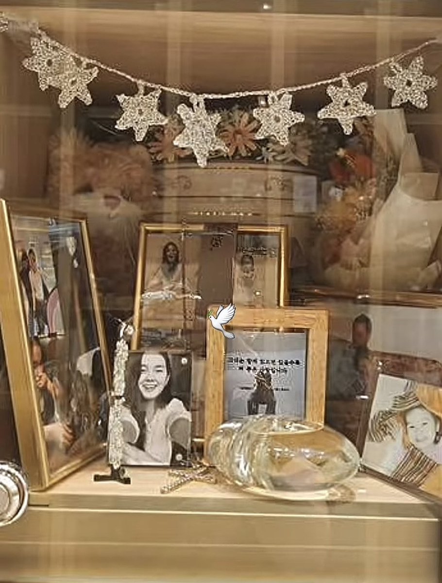 one_rosieee's tweet photo. @elevetine @Lisarighttoe06 it was an old photo, Stella also just found that Hanbyeol passed away :( https://t.co/4xG6Yr4wbh