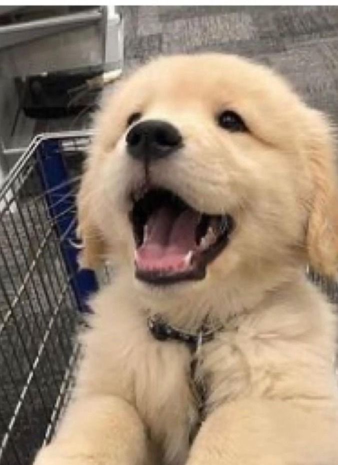 Ray 击 // MCRLDN 8/7 tweet media