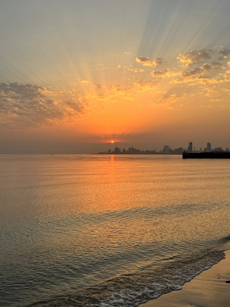 Manal Afaneh tweet media