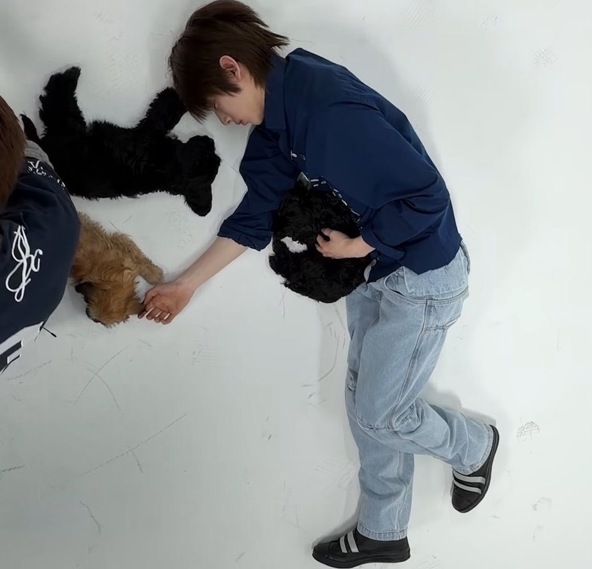 chocojju! tweet media