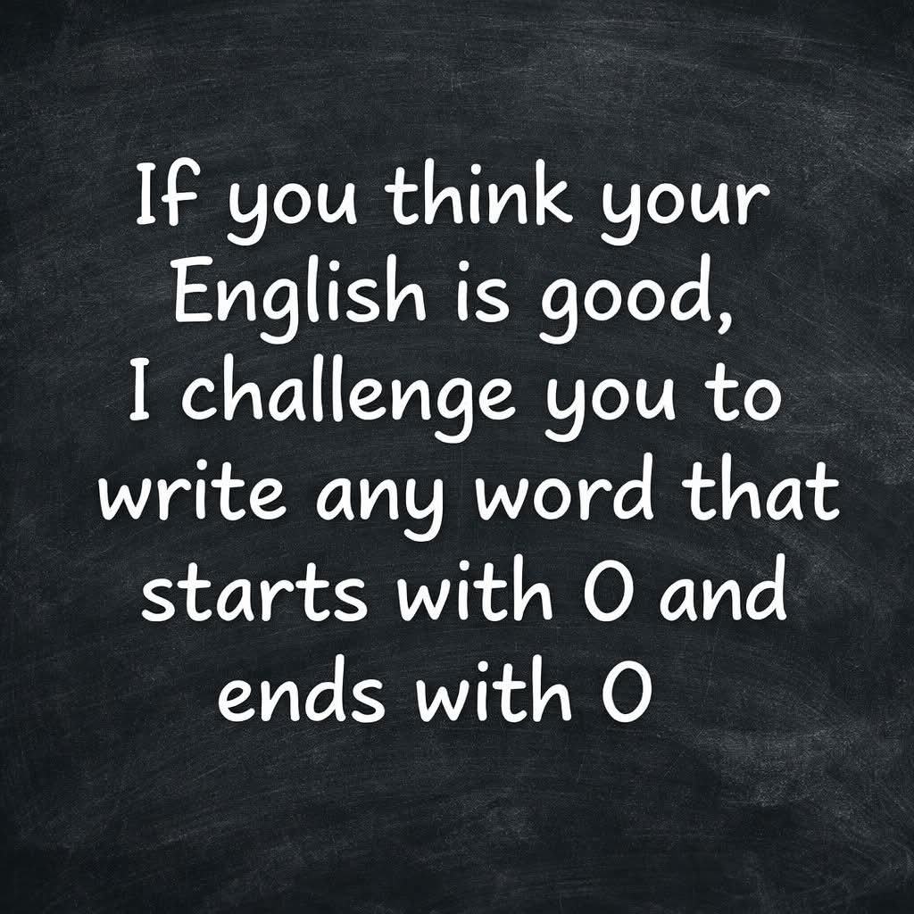 Alice 👑 tweet media