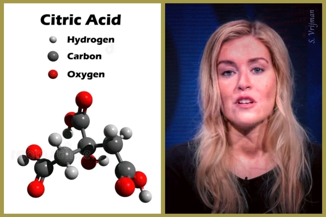 Stef Vrijman tweet media