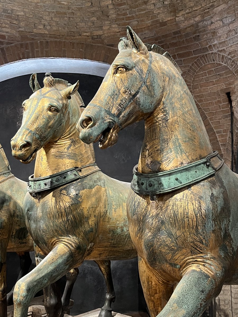 Dimitri Tilloi-d’Ambrosi tweet media