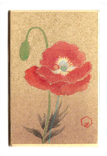 日本の誕生花 tweet media