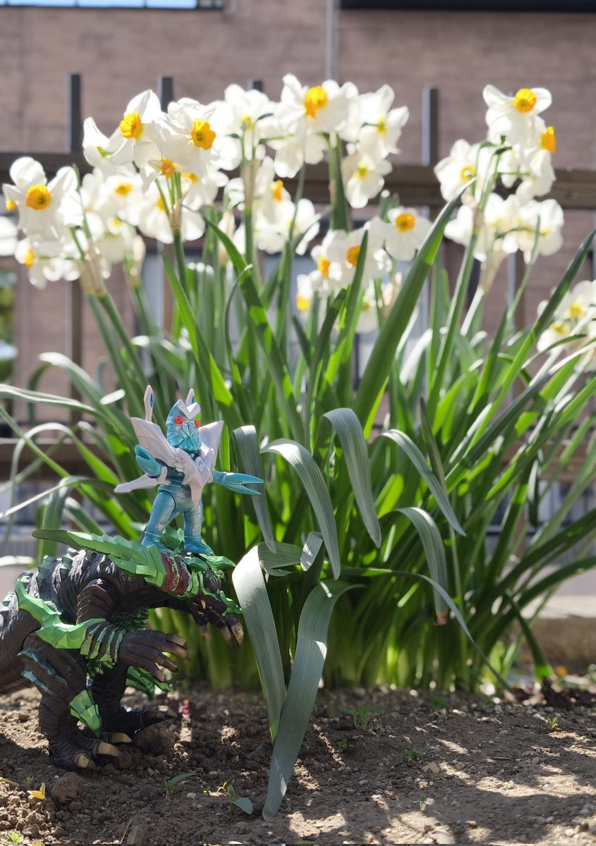 ちーねん tweet media