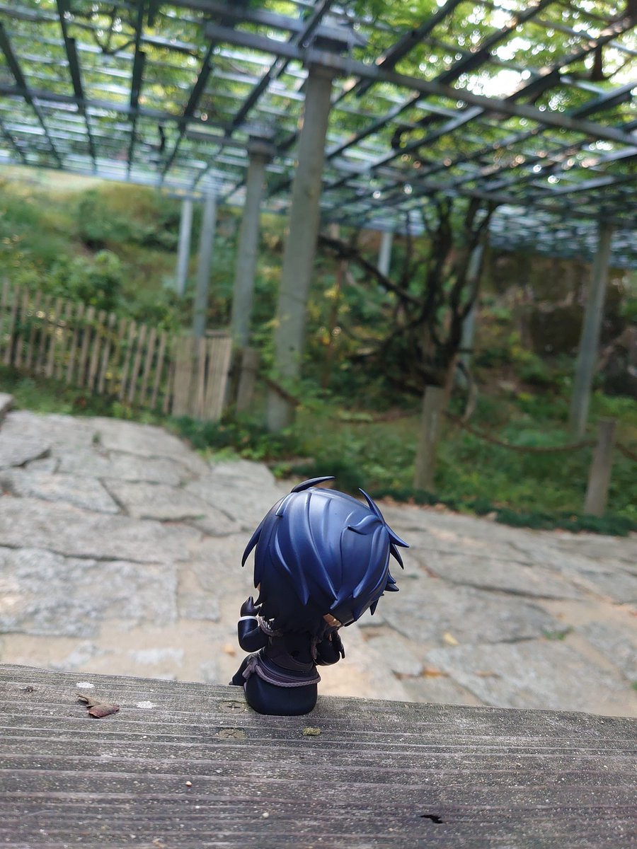 🌱きれいなはなの おたよりいっぱいだ😃

ぼくがみた ふじのき🌳のはなが まんかいなんだね☺️✨