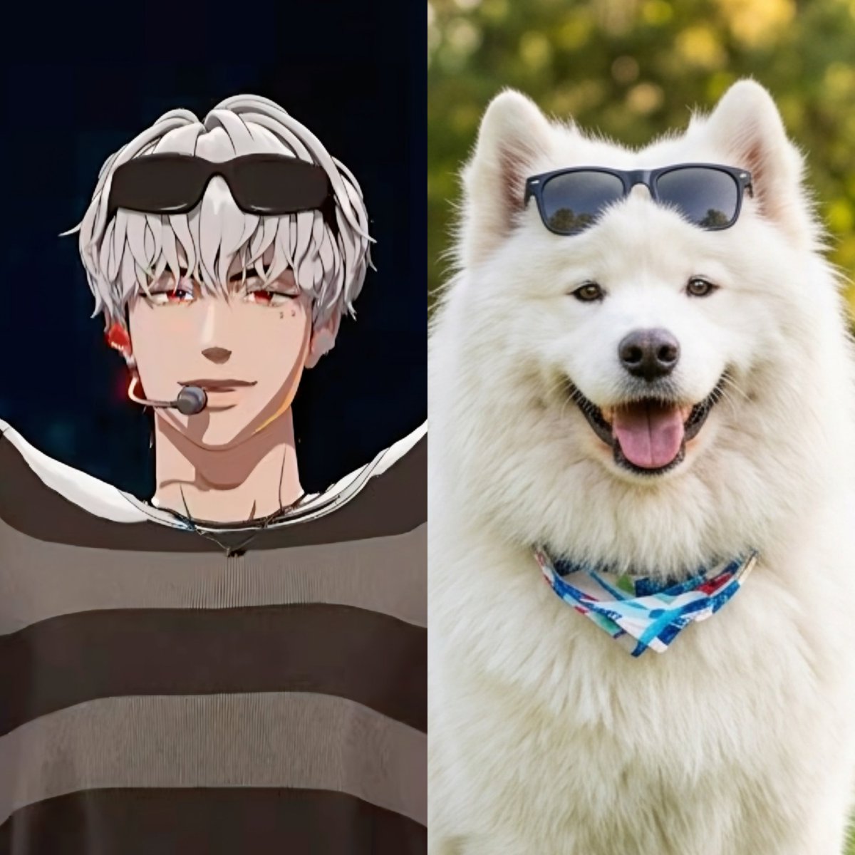 오늘 음중 은호 완전 이거임ㅋㅋㅋㅋㅋ
털뿜뿜 강쥐 그 자체임ㅋㅋㅋ