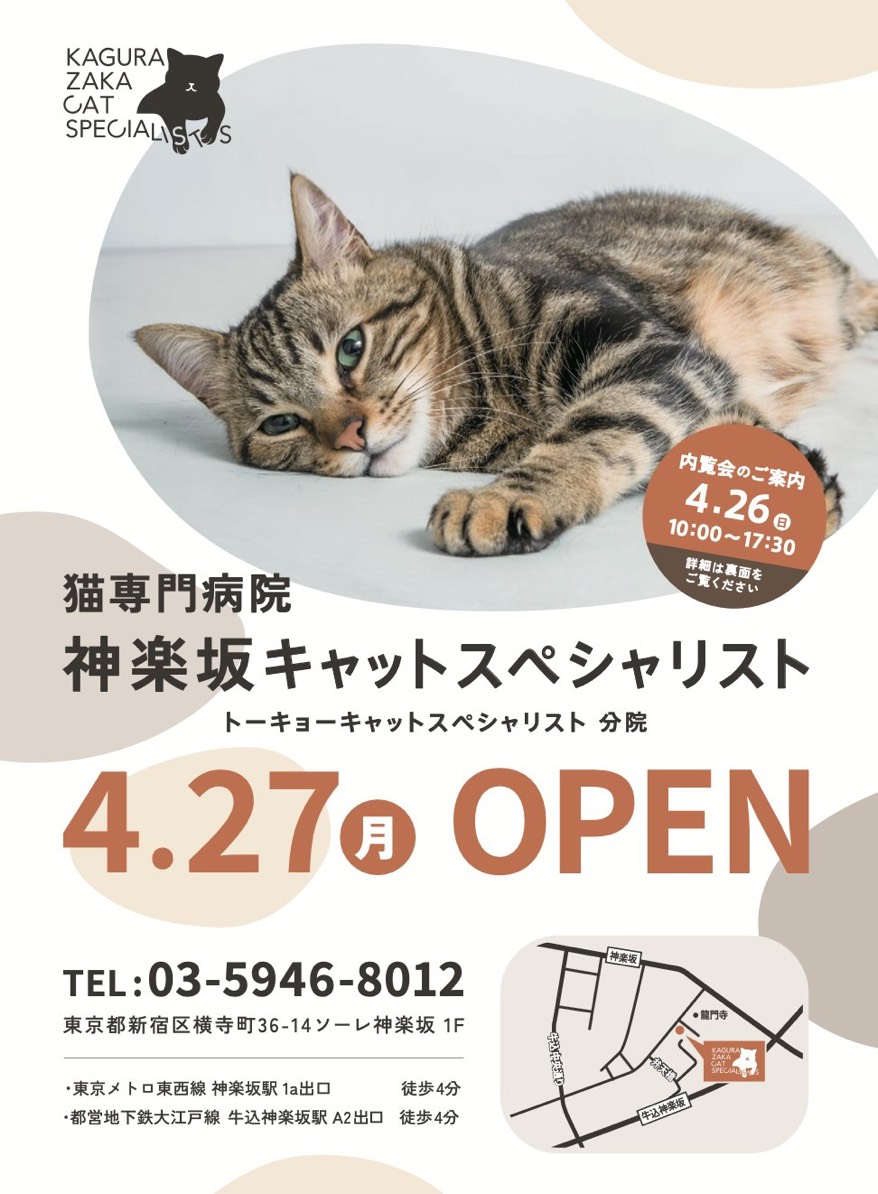 シェール 🎁 Chère 東京 クリエイター作品&オリジナルジュエリー💍 tweet media