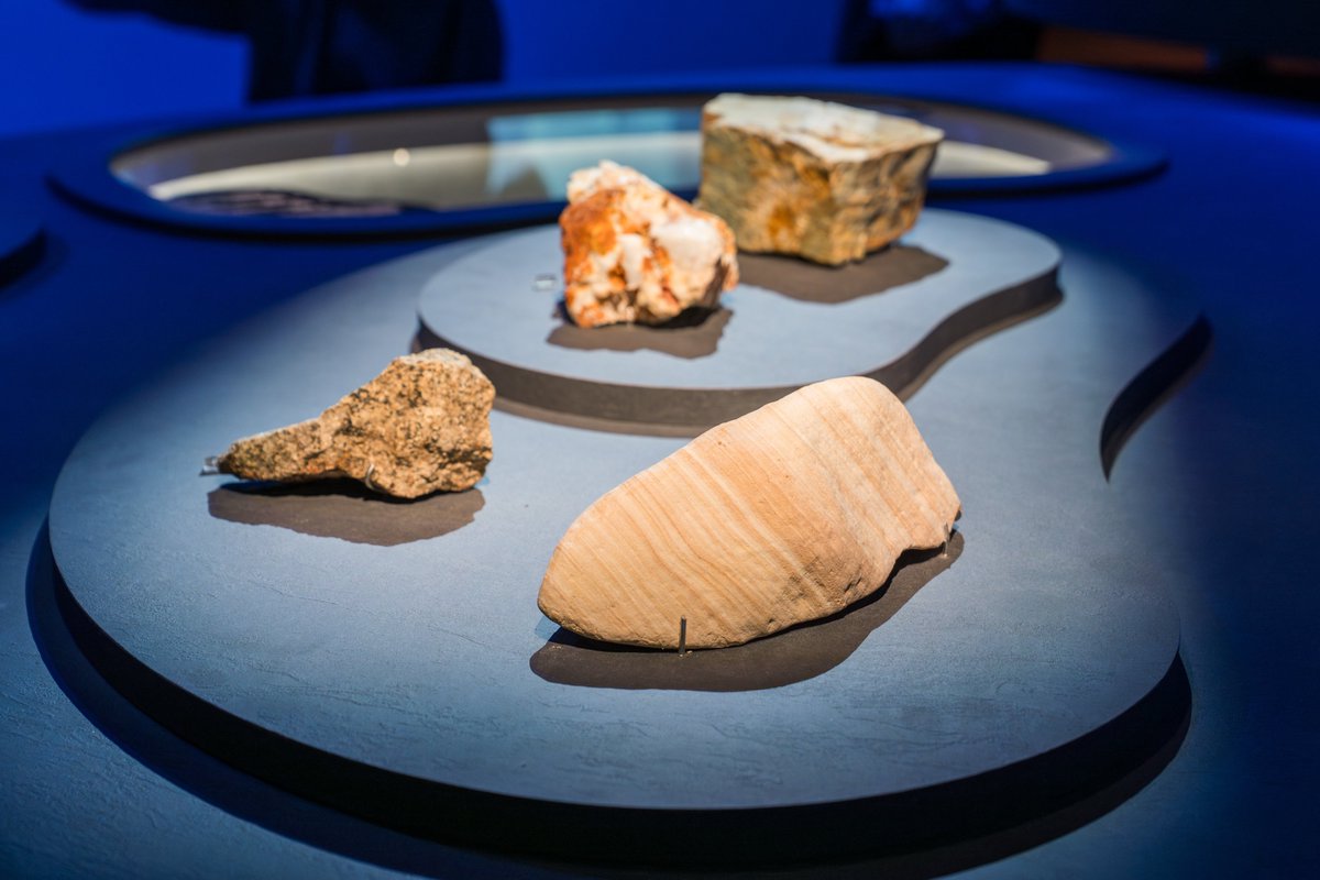 lkcnhm's tweet photo. Last chance to explore ‘A Decade of Discovery’, our milestone exhibition celebrating the curiosity behind scientific exploration: from the Museum’s collections to its role today in Singapore’s natural heritage!

Book your visit here: https://t.co/2GYiZce9PZ https://t.co/jvDi6vmW4X