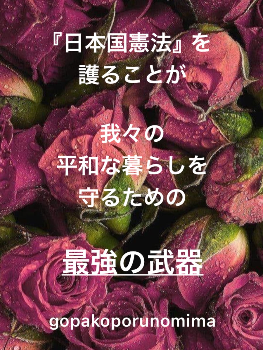 🐈ゴパコポ・ルノミマ🐈‍⬛ tweet media