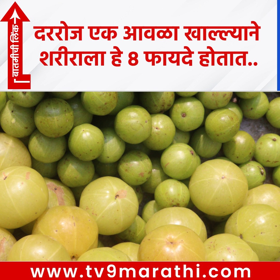 TV9Marathi's tweet image. रोज एक आवळा खाल्ल्याने शरीराला हे 8 फायदे होतात..
  tv9marathi.com/web-stories/li…
#VitaminC #metabolism #weightloss #digestion #constipation #glowingskin #hairhealth #bloodsugar #hearthealth #eyesight #Amlabenefits #Amla