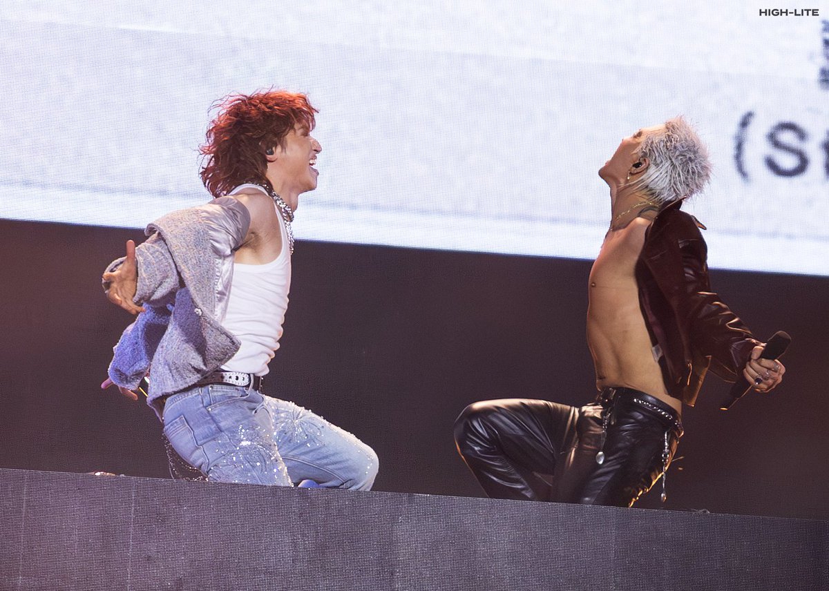 하이라이트 tweet media