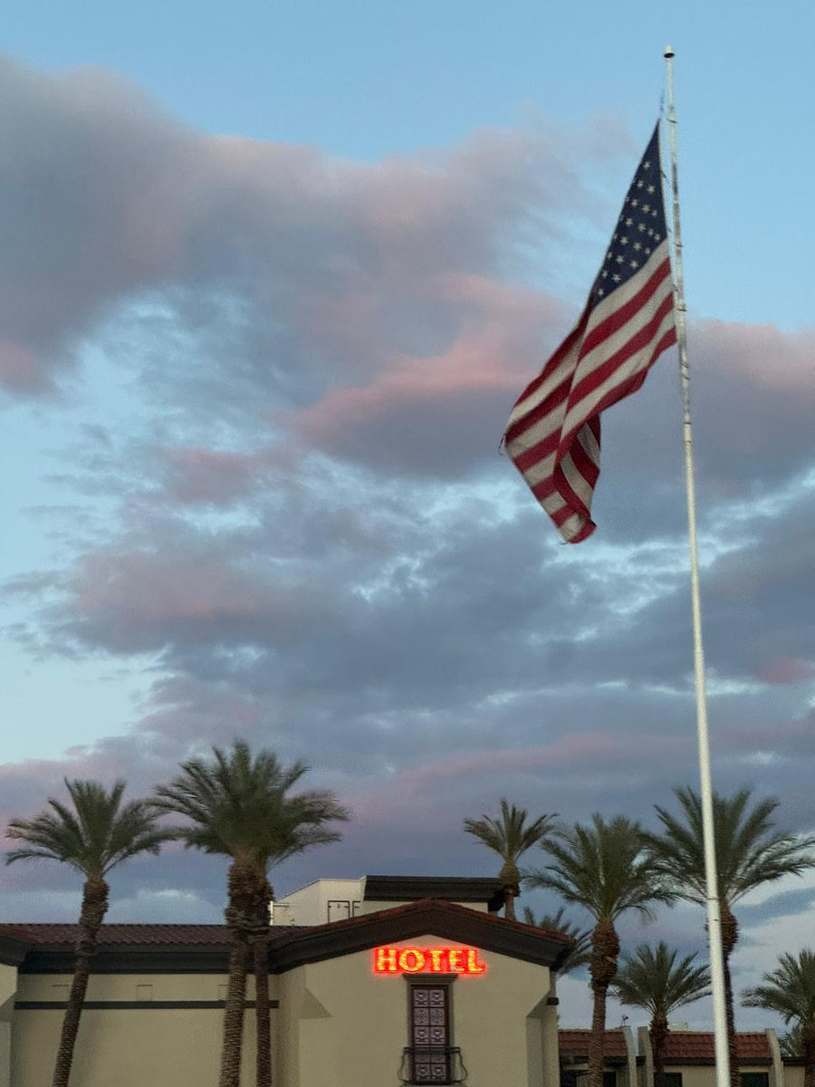 Carmen Constenla | Vanadi Treasury tweet media