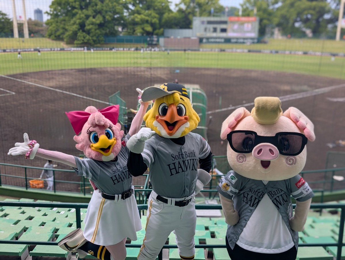 ハリーホーク（公式） tweet media