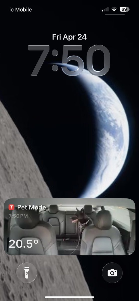 DriveTeslaca's tweet photo. Love the @Tesla Pet Mode Live Activity. So easy to check on your pet while they’re in the car. https://t.co/EH0TSLKFMG
