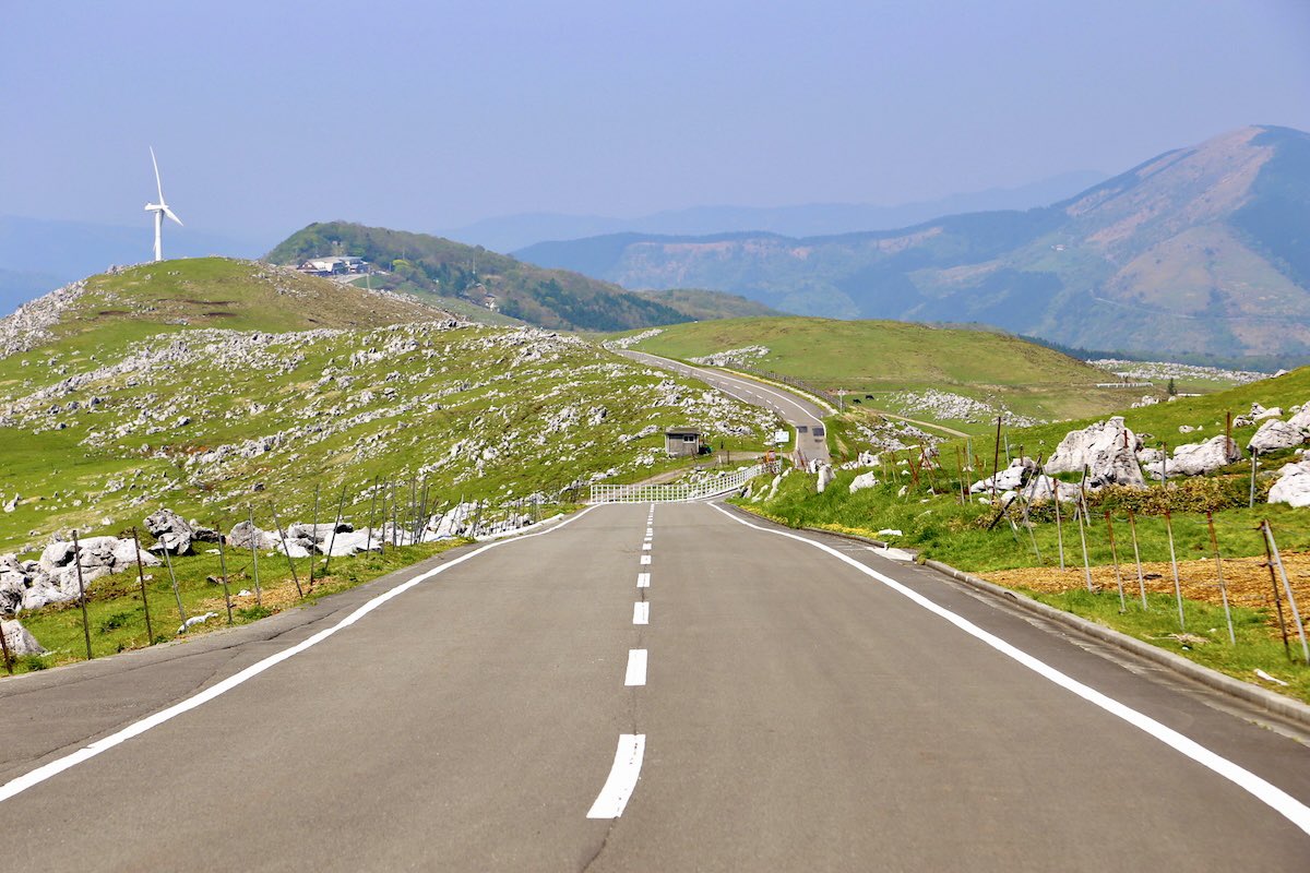 神楽坂つむり tweet media