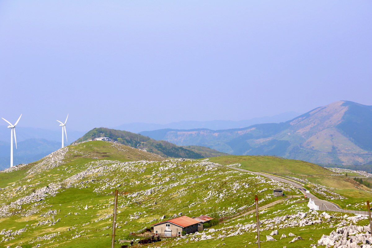 神楽坂つむり tweet media