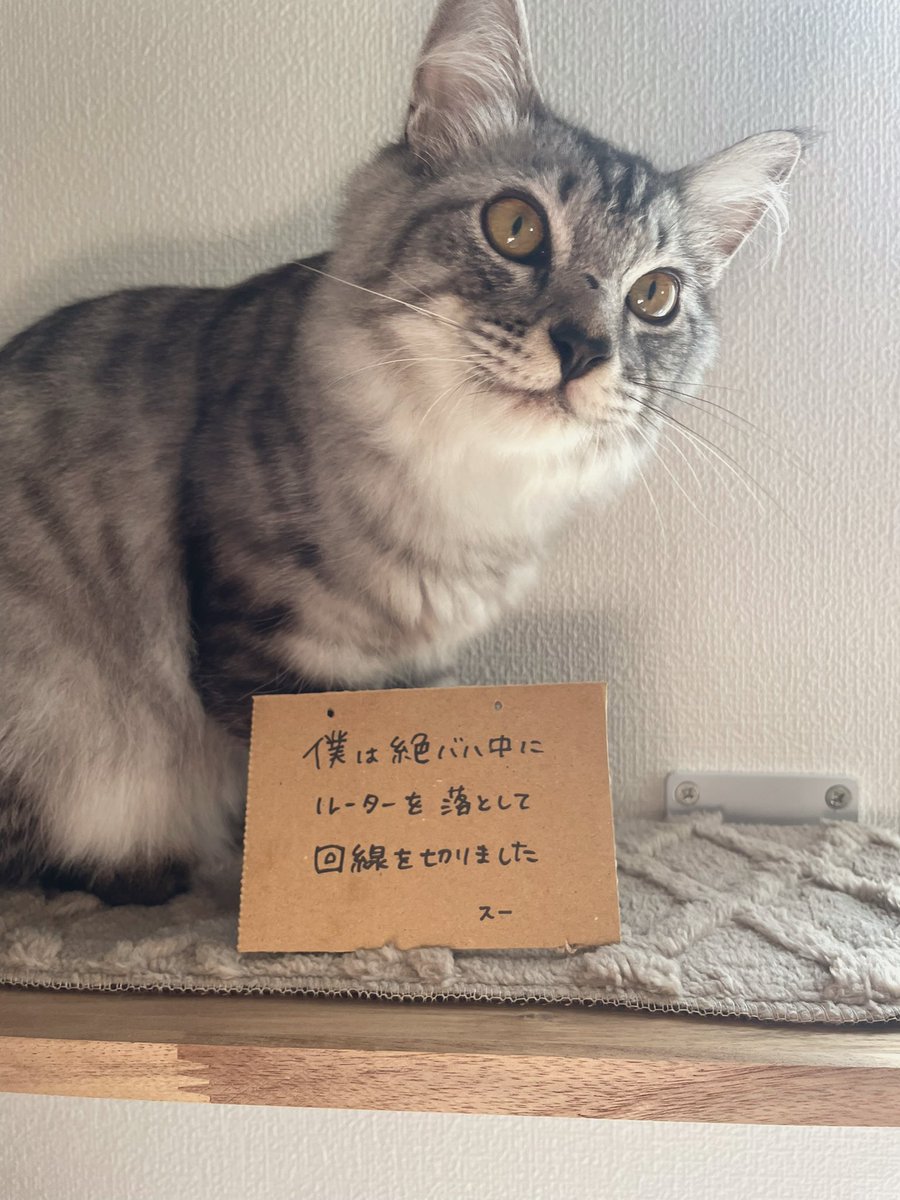 Fuwa Eftal👒グングニル tweet media