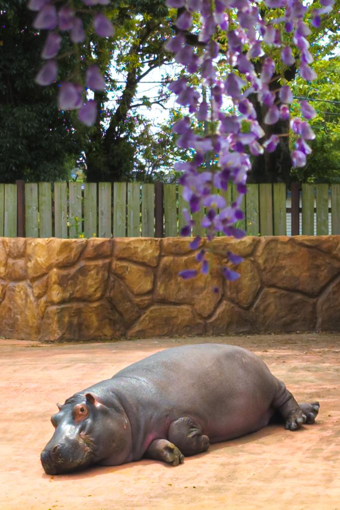 パネルの人 tweet media