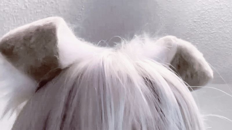 angel tweet media