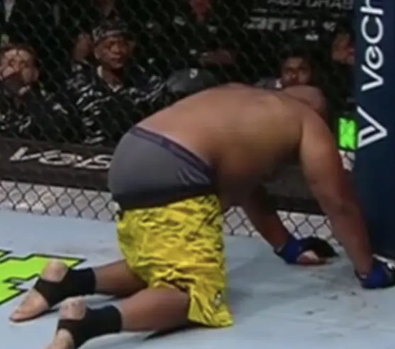 MMA FIXED tweet media