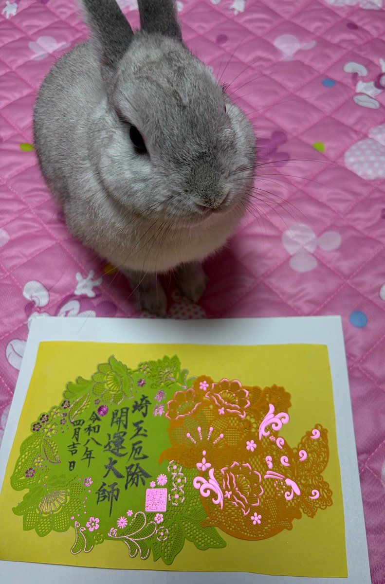 プリンセスラビット tweet media