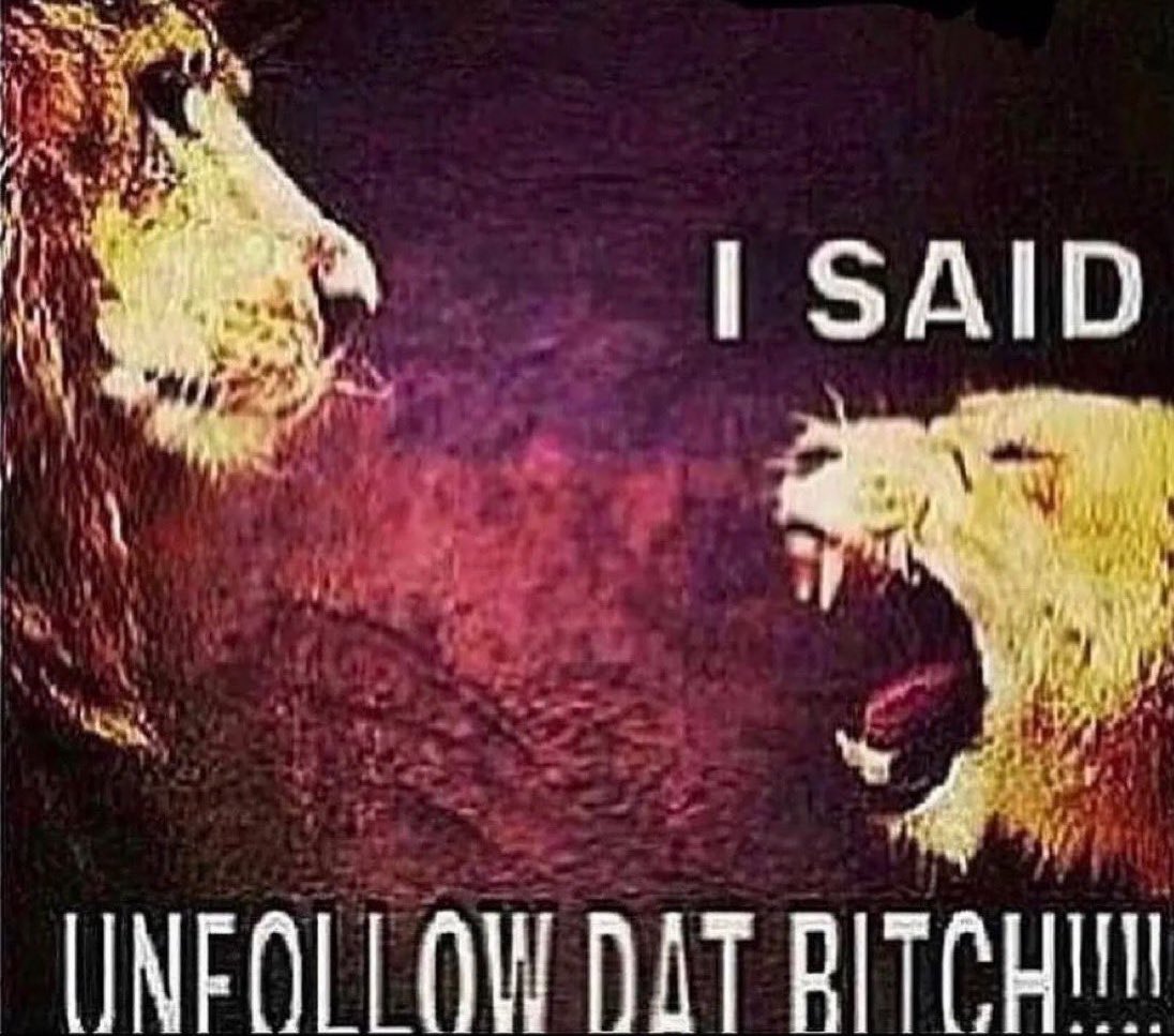 RofaBofa tweet media