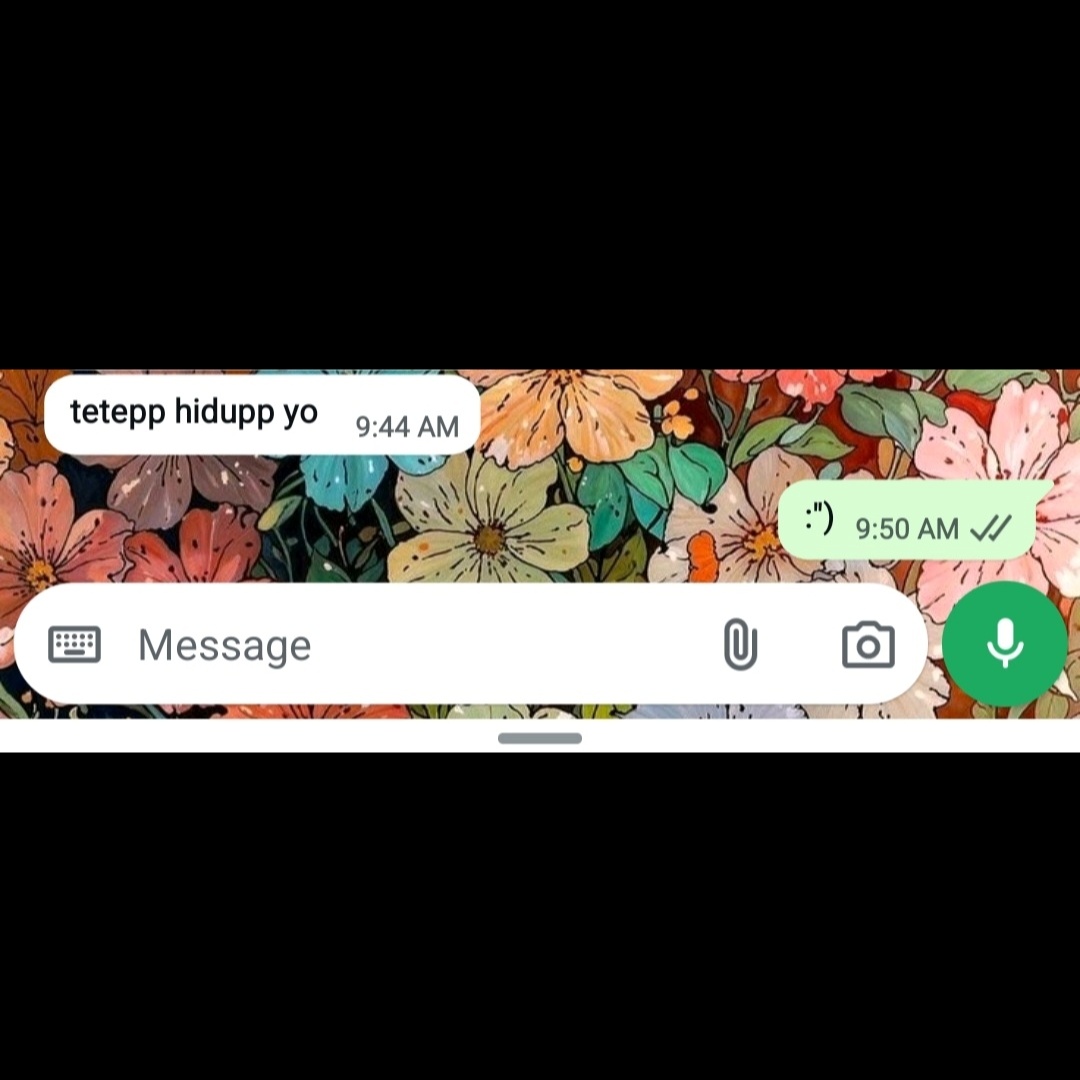 beena (bina). tweet media