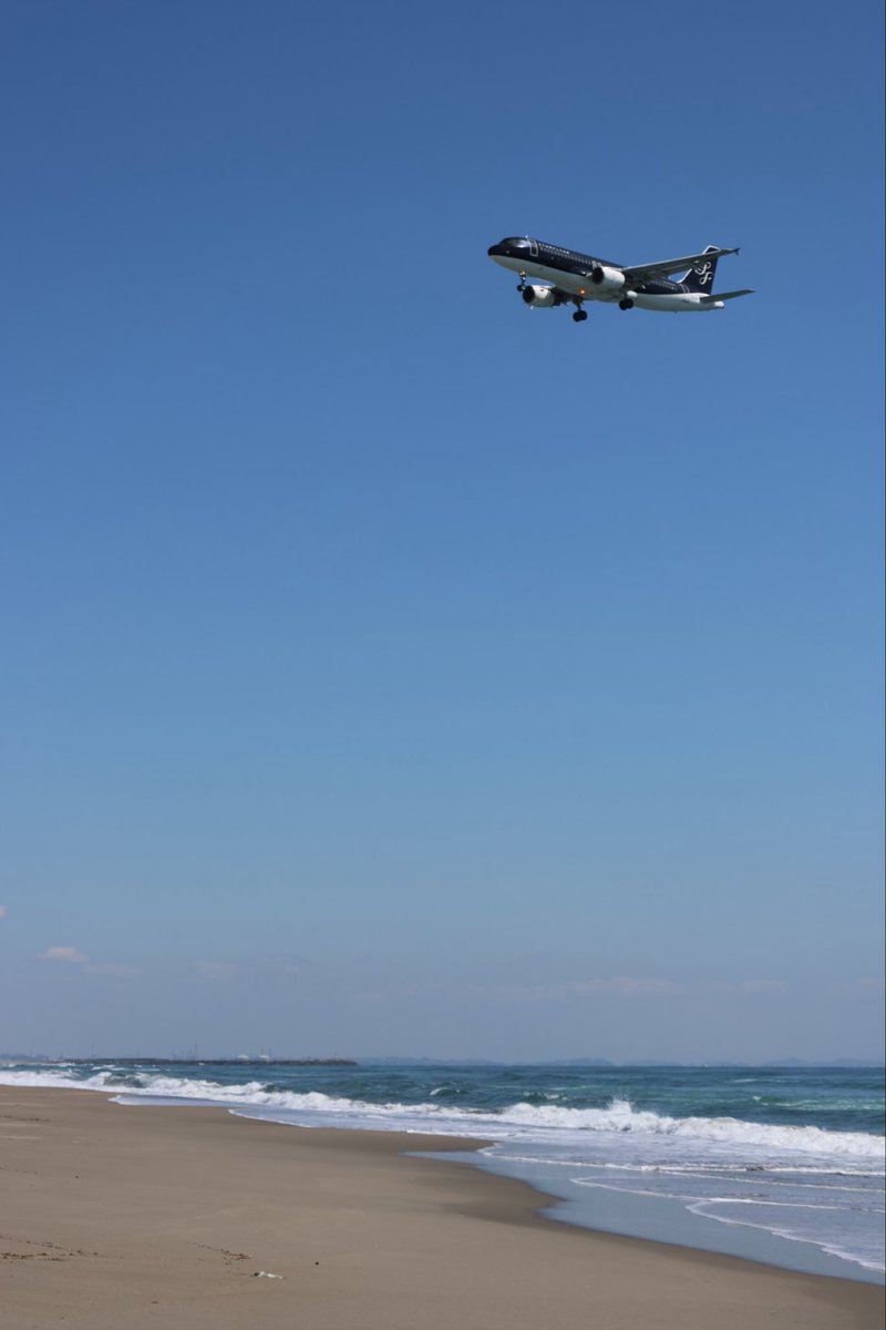 timiceman1's tweet photo. 朝は少し寒かったけど、今日は海側から📷と、
園芸センターのネモフィラ。 https://t.co/ucPPdyv6Ru